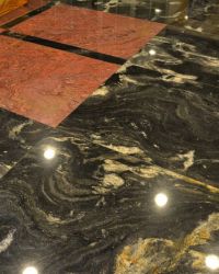 Cosmic Black und Vittoria Regia